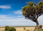 Kenia Landscape 2011
